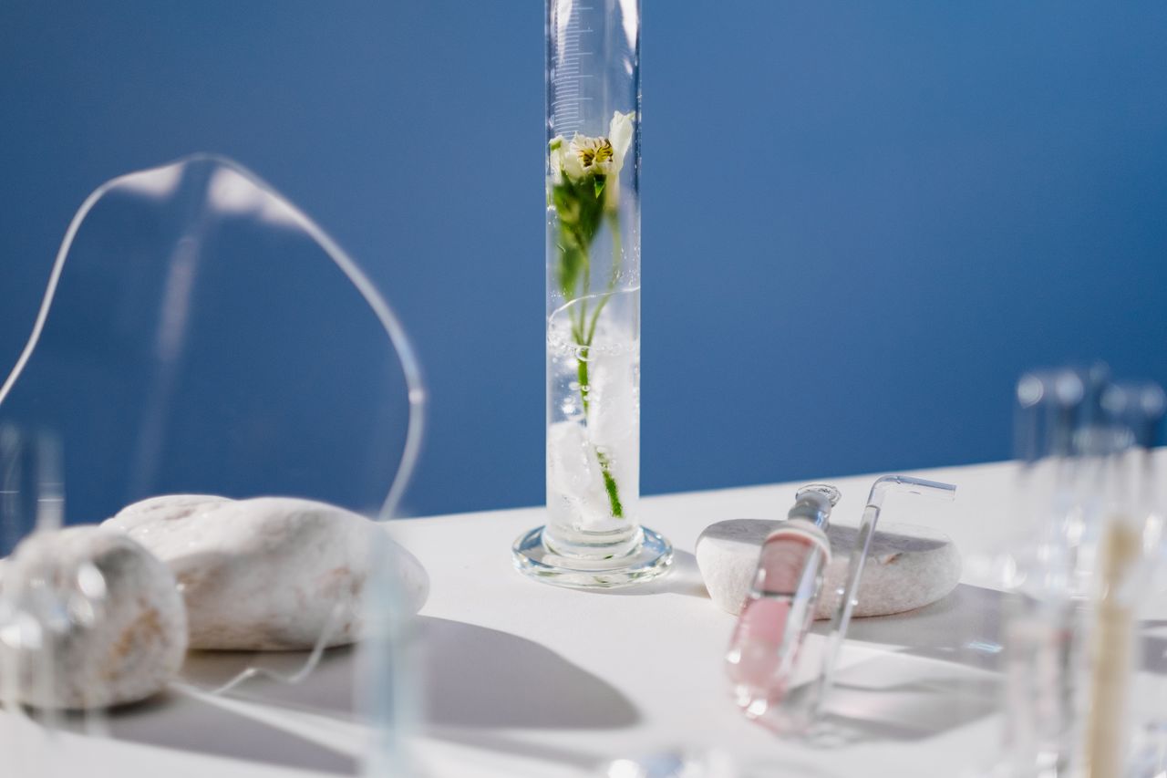 About Chemistry-themed setup with a tulip in a volumetric flask on a blue background.