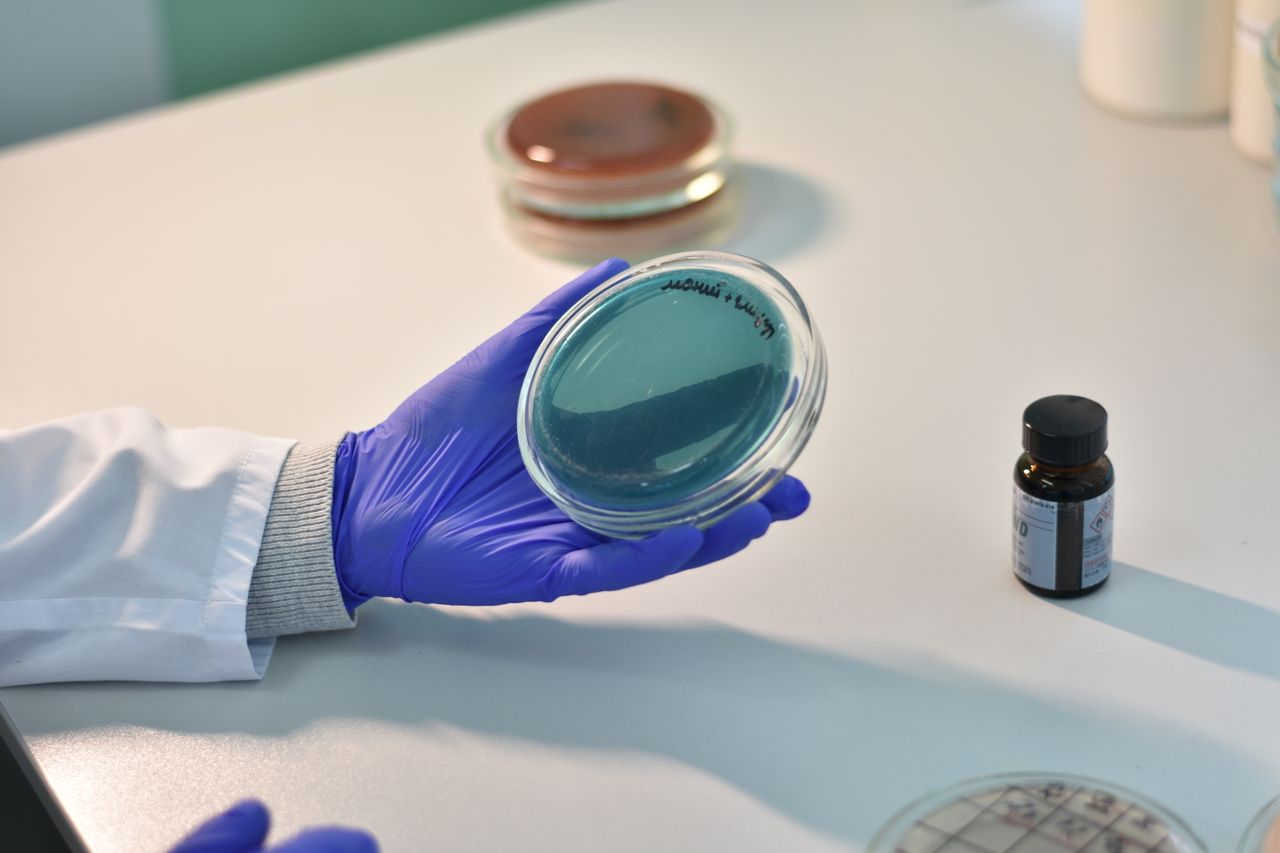 The Art of Drawing Readers In: Your attractive post title goes here Scientist examines petri dish samples in a laboratory for research purposes.